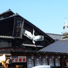 屋根にコウノトリ