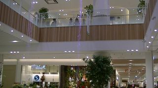 むさこマダムの新名所