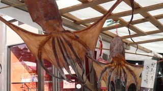 美味しい干物でした！