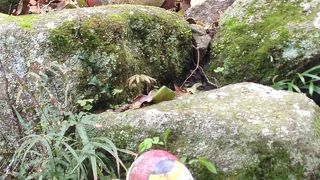 体力のいる細道。