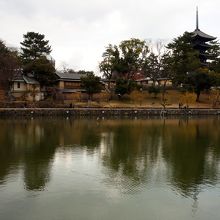 猿沢池越しに見える興福寺五重塔