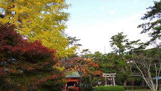 幻想的な桜ヶ池の前に鎮座しています