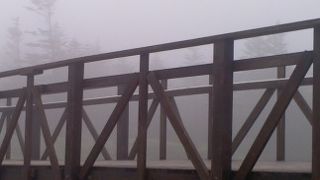 雲の中を散策しました