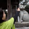 生善院観音堂 (猫寺)