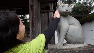 生善院観音堂 (猫寺)