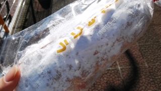 エッフェル 本店