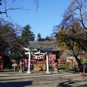 世良田の歴史公園の中