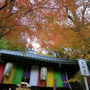 絶対おすすめ、拝観料無料で京都の紅葉を満喫！