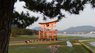 午前の早い時間に