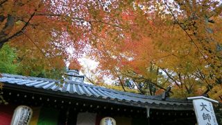 絶対おすすめ、拝観料無料で京都の紅葉を満喫！