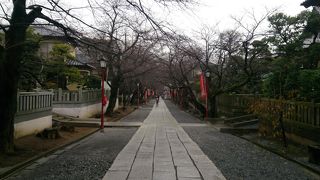 年末で正月の準備も整っていました、初詣に来てください