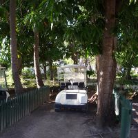 ハネムーン・ブレ専用のカート