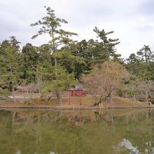 水面に景色が映りこみます