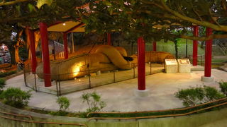 那覇大綱挽の綱が見られる