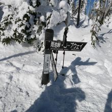山頂は眺望ナシ
