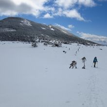 坪庭の端からの山容（2014/4撮影）