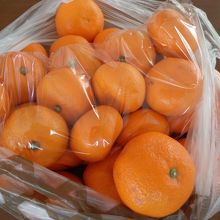 みかん詰め放題。500円でてんこ盛り・・・(^^♪