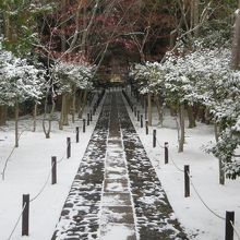 雪の参道。