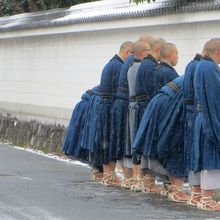 偶然通りかかった托鉢。