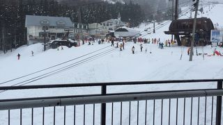 ファミリー向けのゲレンデ