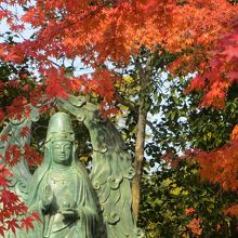 真っ赤な紅葉に囲まれて。