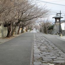本妙寺の参道です。