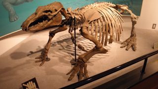 洋風建築の美しい建物です。