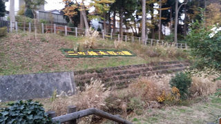 和泉川の自然と触れ合える二ツ橋の水辺