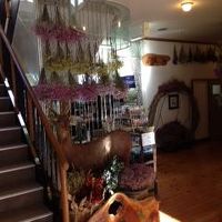 玄関にあるシカの剥製