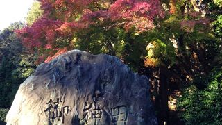 奥の御神田は紅葉も楽しめます