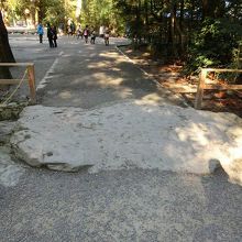 別宮へ向かう途中の池にかかる亀石。