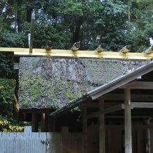 萱葺の屋根です。