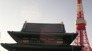 久しぶりに近くで見ました