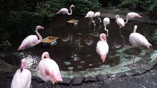 暇つぶしに最適