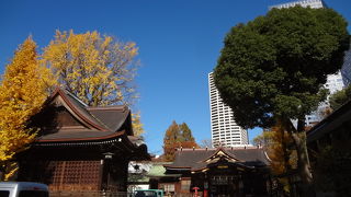 なかなかの絶景でした