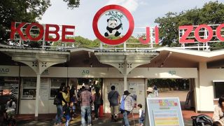 やはり神戸といえば　六甲山です。