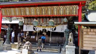 桜の時期に行きました