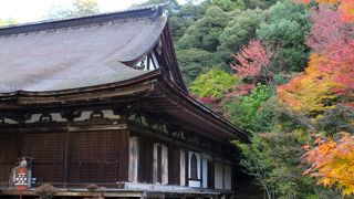 紅葉と桜を同時に見ることができるお寺です。