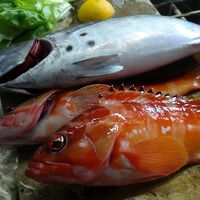 クルージングで大漁です