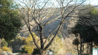 尾崎咢堂記念館