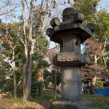 ひとつだけ離れて立っています