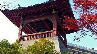 下から眺めることしかできません