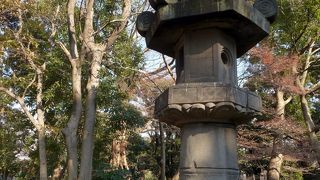 ひとつだけポツンとありました