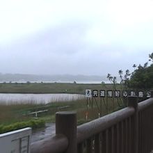日本最大規模の汽水域です。