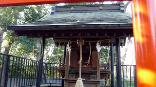 「たぬき」は「他抜き」だから受験の神様だって！？　無理があるなぁ・・・