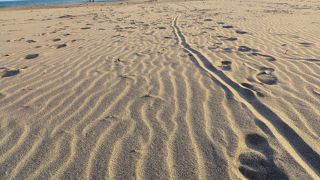 想像より綺麗だった夕方の砂丘