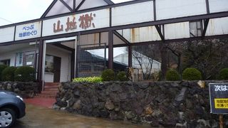 サボテンに動物に