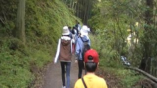 世界遺産となった石見銀山は山道の歩き回りが必要です。