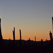 夕暮れの光景に感動！