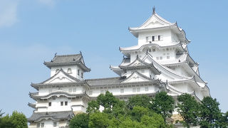 白さが際立ってます